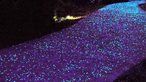 Glow in the Dark GEMSTONE BLUE Pebble Stones (15-20mm) Size